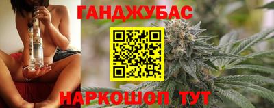 ешки Кингисепп
