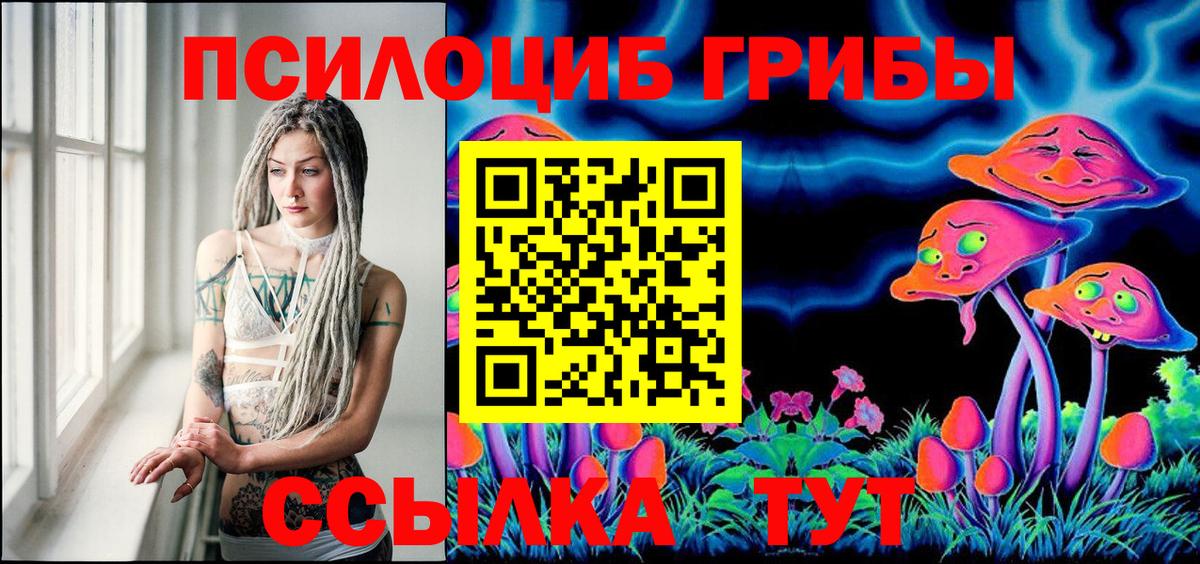 купить наркоту  Галлюциногенные грибы GOLDEN TEACHER  Вход с VPN  Нововоронеж 
